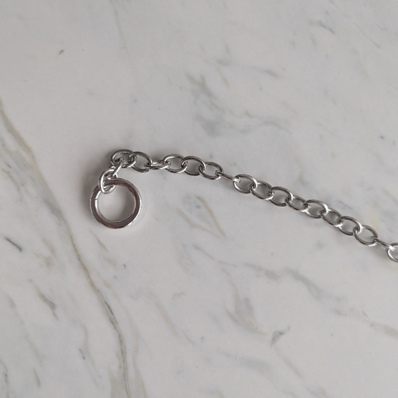 Chain Belt - Picture 5 of 7